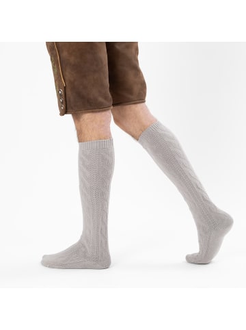 Occulto Lange Trachtensocken Bergdistel in Grau
