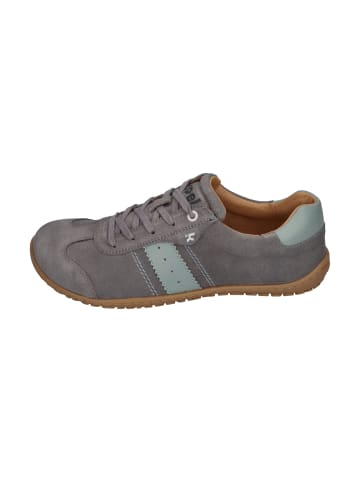 KOEL Sneaker Low ILA SUEDE 3.0 in grau