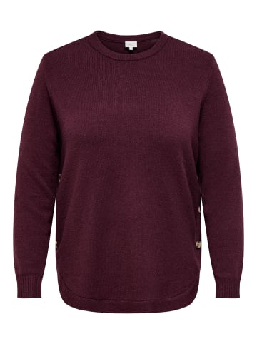ONLY Carmakoma Strickpullover in Fig 1