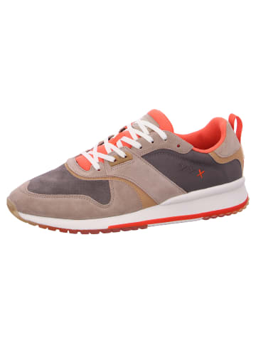 Scotch & Soda Sneaker Vivex 2B in Beige