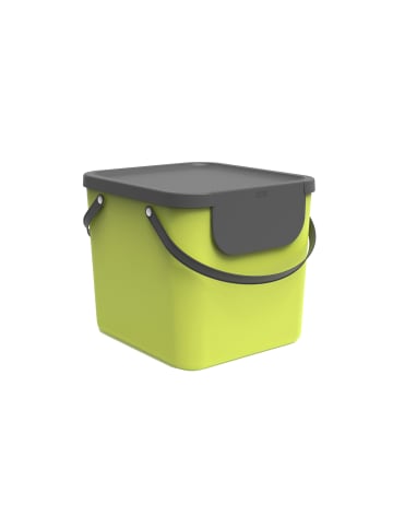 Rotho Albula Mülltrennungssystem 40 l für die Küche in Limettengrün