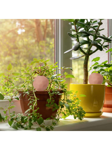 relaxdays 8 x Bewässerungskugel in Terracotta