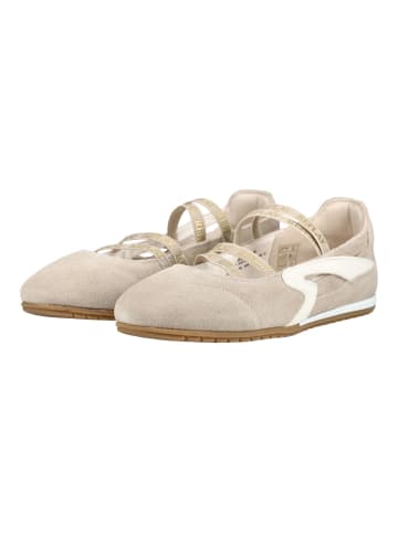 Replay Ballerinas in Beige/Braun
