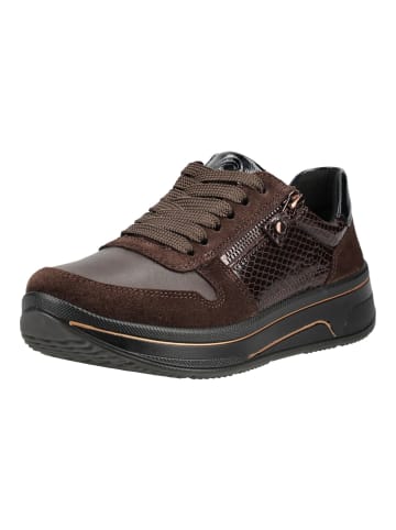 ara Sneaker SAPPORO 3.0 in Caffee