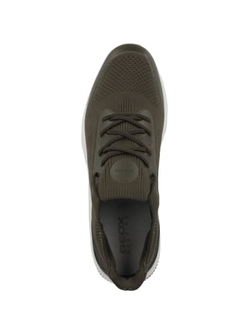 Geox Sneaker low U Spherica Actif A in gruen