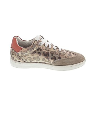 Mexx Proxy Pien Sneaker low Beige