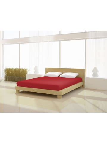 Mr.Sandman Topper Spannbetttuch Full Elastan de luxe 160 x 200 cm in kirsch