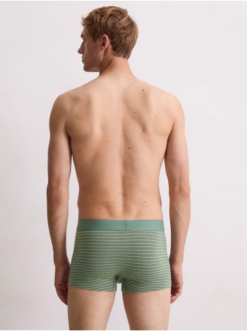 Marc O'Polo Retro Pants Trunk Essentials in sage stripe/grey mel/dark sage