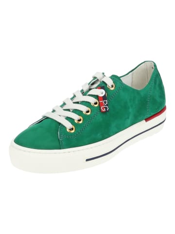 Paul Green Sneaker in Grün