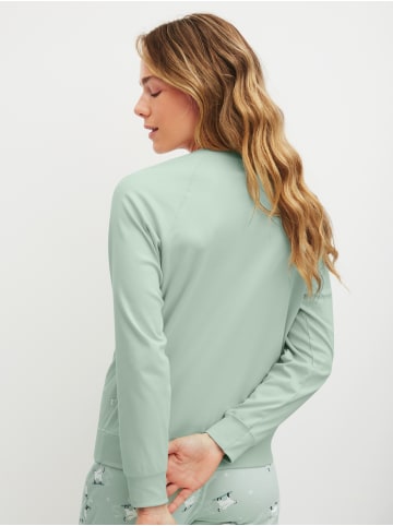 Calida Shirt in light aqua