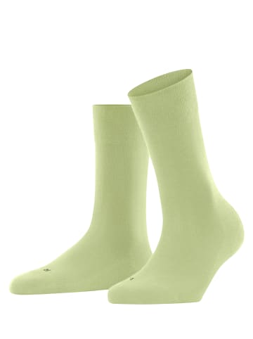 Falke Socken Sensitive London in Nile