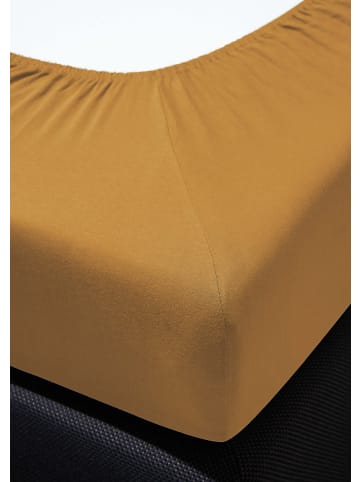 Irisette Spannbetttuch Jersey Vesuv in gold