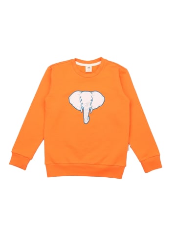 Walkiddy Sweatshirt Elephants-Sweatshirt