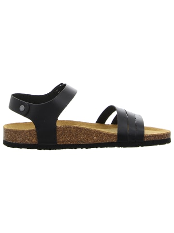 Plakton Sandale in schwarz
