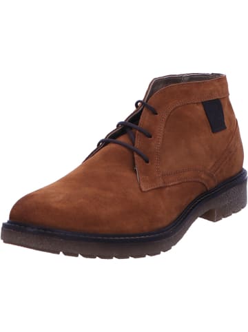 Gabor Stiefeletten für Herren in taupe in taupe