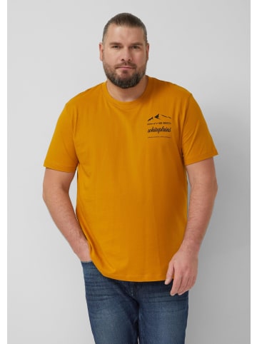 s.Oliver T-Shirt in 16D2_honiggelb