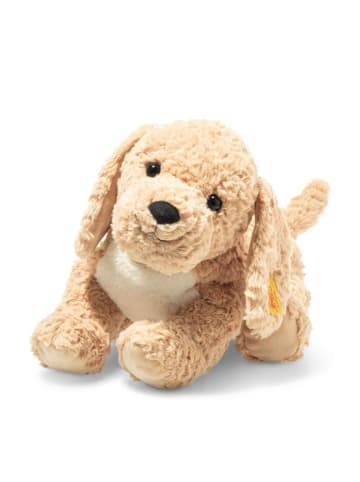 Steiff Berno Goldendoodle 36 beige in Braun ab 0 Monate
