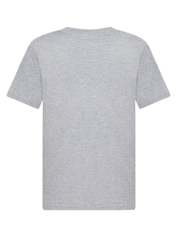 Absolute Cult Absolute Cult T-Shirts in heather grey