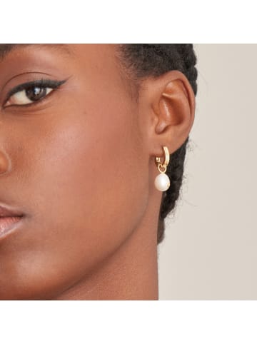 Ania Haie Ohrringe in gold