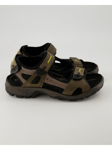 Ecco Wanderschuhe in Grün