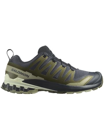 SALOMON Sneaker XA Pro 3D V9 in india ink/olive night/aloe wash