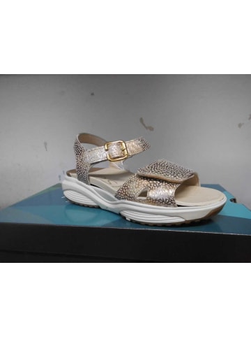 Xsensible Schnürschuh in beige