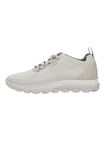 Geox Sneaker Hellgrau