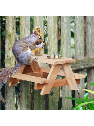 Eichhörnchen Tisch in Natur
