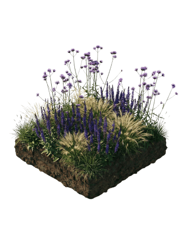 NatureNest 12 Beetpaket Zoe Pflanzen in Grün Topf 9 cm Höhe 15 cm