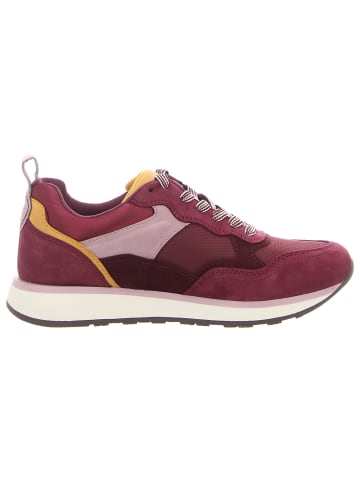 Tamaris Sneaker Low in violett