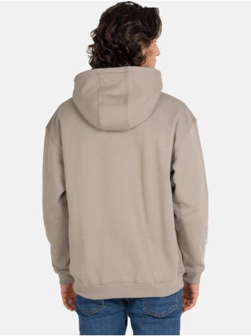 Reell Hoodie "Team Hoodie" in Grau
