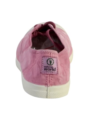natural world Schnürschuhe INGLES ELASTICO ENZIMATICO 102E Rose