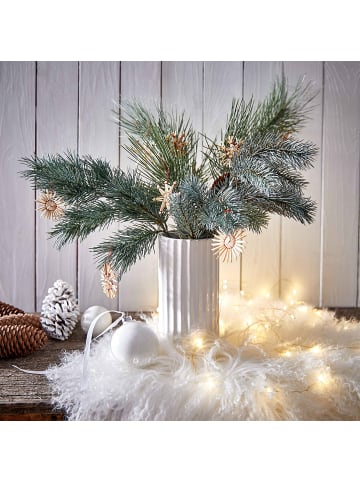 Butlers Strohsterne X-MAS in Beige