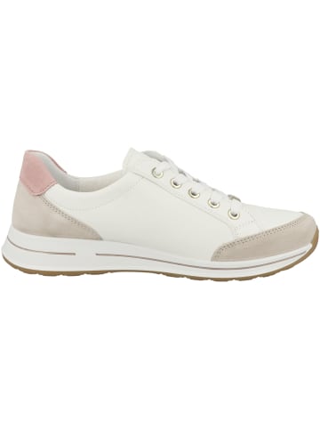 ara Sneaker low 12-24801 in weiss