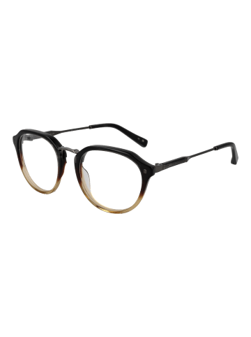 Ted Baker Männer Optische Fassungen Panto Mehrfarbig