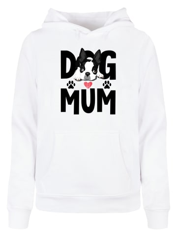 Absolute Cult Absolute Cult Kapuzenpullover in white