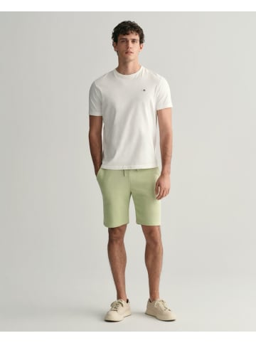 Gant Short in milky matcha