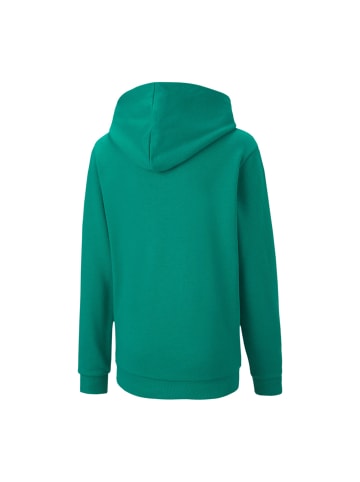 Puma Sweatshirt teamGOAL 23 Casuals Hoody Jr in grün