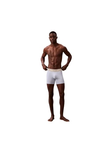 Zweifarbig Baumwolle Boxershorts