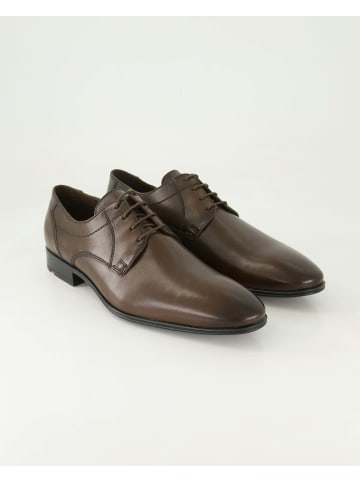 Klassische Schnürschuhe in Braun