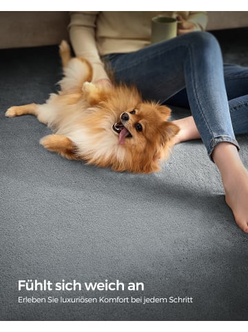 SONGMICS Teppich Alvin in Taubengrau - (B)160 x (H)1 x (T)230 cm