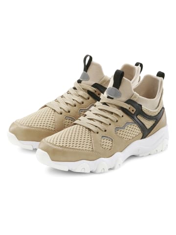 John Devin Sneaker in beige