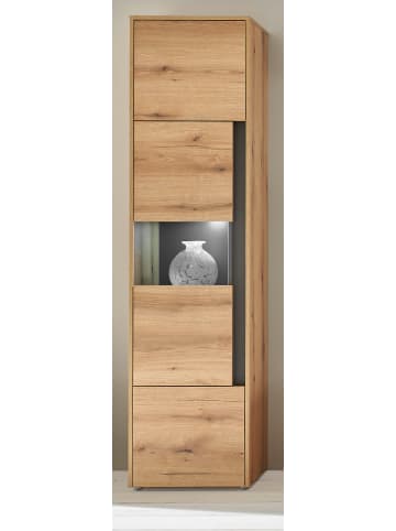 Furn.Design Vitrine Eiche Evoke 50 x 197 cm, Vitrinenschrank 3-türig mit 5 Fächern