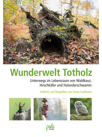 Pala Wunderwelt Totholz | Unterwegs im Lebensraum von Waldkauz, Hirschkäfer und...