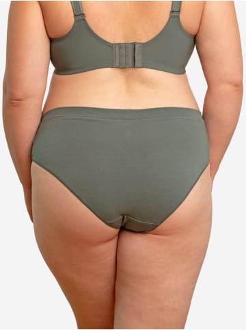 SugarShape Panty COTTONBASIC in olive