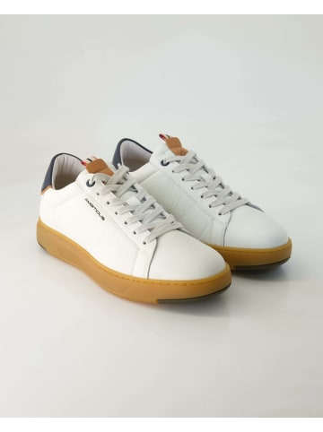 Ambitious Sneaker low in Weiß