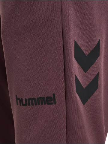 Hummel Hose Hmlblaze Kinder in HUCKLEBERRY