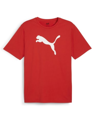 Puma T-Shirt "TeamRISE Logo Jersey Cotton" in Rot