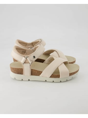 PANAMA JACK Plateau Sandalen in Beige