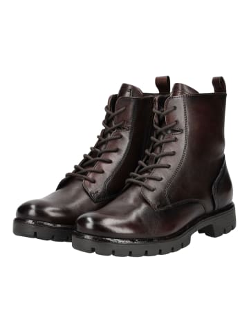 ara Stiefelette in Cacao